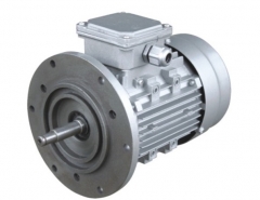 Động cơ điện China