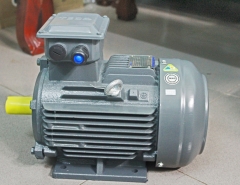 Động cơ điện Teco