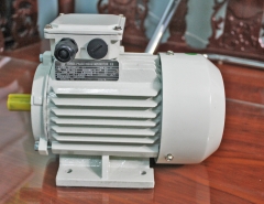 Động cơ điện China